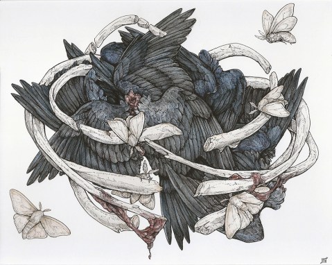 ossa, corna, peli, piume e viscere..jpg