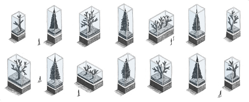 Ci mostra la natura in vetrina, la ribellione delle fronde che si rinchiudono in forme meticolose