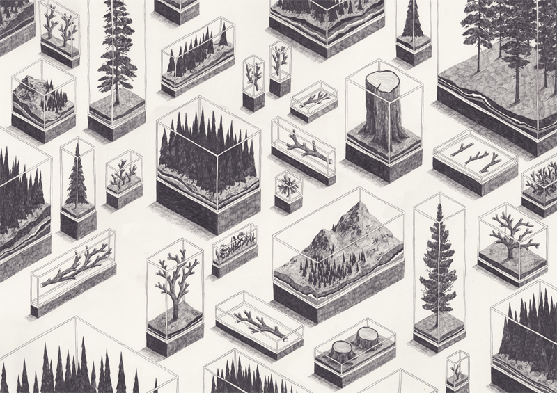 ci mostra l'individualismo di un pino che cerca il proprio spazio personale, specialmente sotto natale quando tutti gli esseri umani, piccoli o grandi, si prendono la libertà di giocare