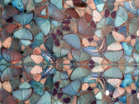13-perchecc81-certi-pattern-sono-sempre-quelli-solo-che-non-ce-ne-rendiamo-conto-perchecc81-delle-conchiglie-possono-diventare-ali-di-farfalla.jpg