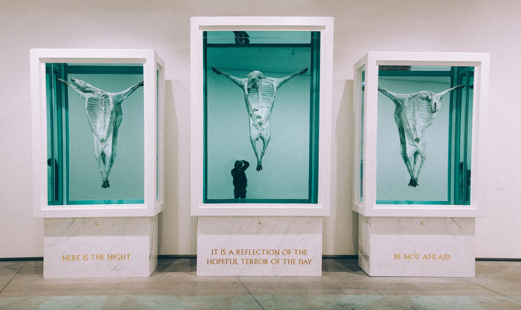 17 Anche la decomposizione e la dissezione diventano un modo per continuare a vivere, per alimentare il significato di ricordo e per modificare la percezione del futuro