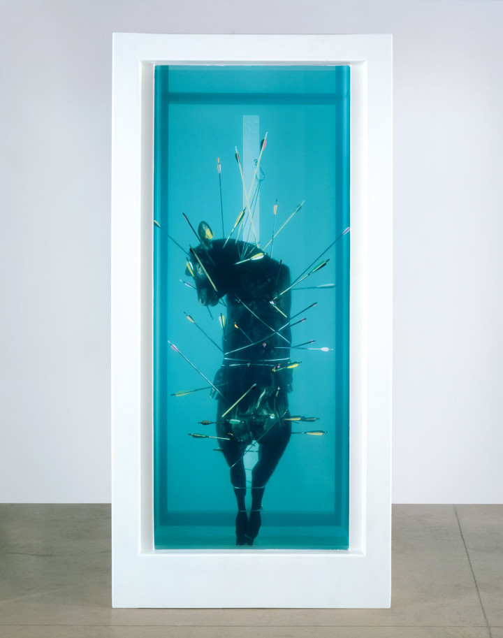 24 Ed è così che Il sogno, anche il più intimo e intoccabile con hirst annega, incontrando la vera forma dell_acqua e della sua dimensione di oscurità,