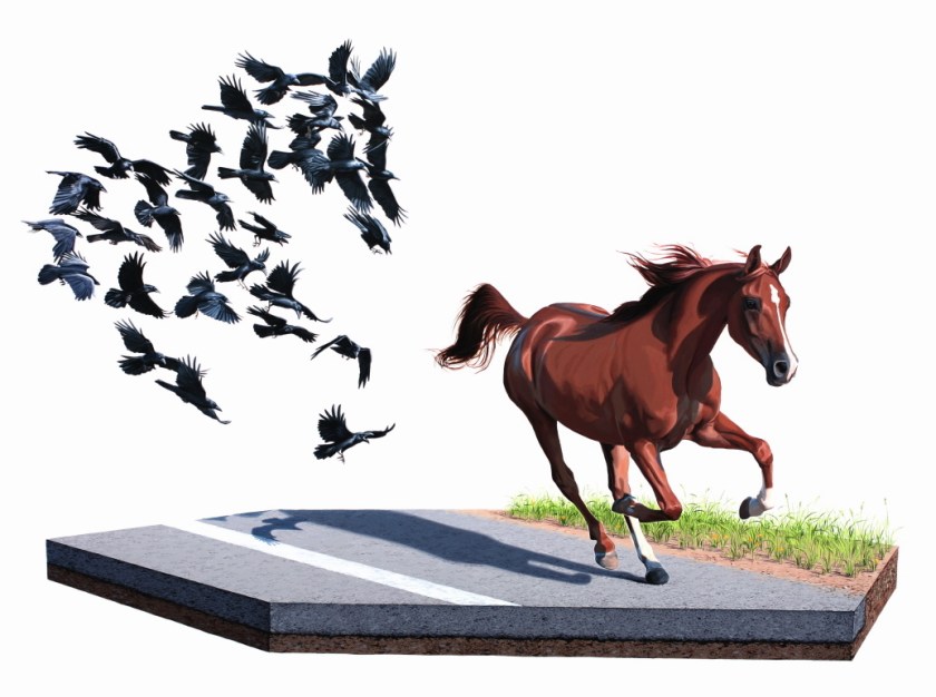 31.1 le tende e affacciarci sugli atteggiamenti bizzarri e ribelli che la natura compie a nostra insaputa, tramite l_evoluzione e l_adattamento animale ad un mondo non sempre ideale