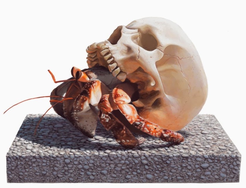 32 Ma Per queste creature non esiste il concetto di habitat ideale, habitat è solo vita e sopravvivenza.